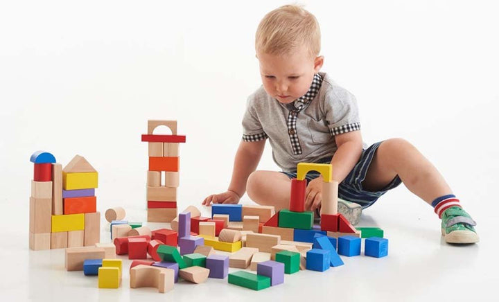 100 wooden Block set - EASE