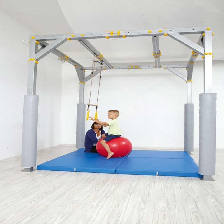 Bar Swing with Trapeze Gym Rings - EASE