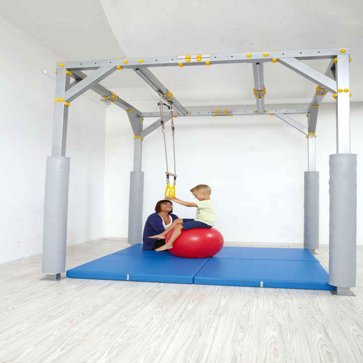 Bar Swing with Trapeze Gym Rings - EASE