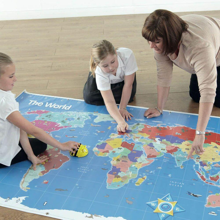 Bee - Bot World Map 145 x 80cm - EASE