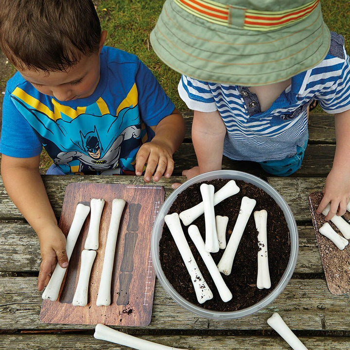 Dinosaur Bones Match and Measure Set - EASE