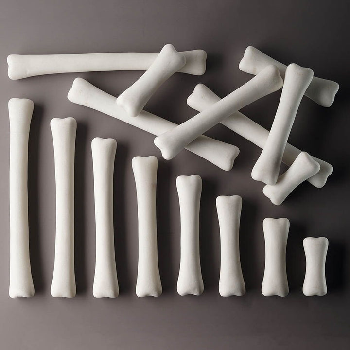 Dinosaur Bones Match and Measure Set - EASE