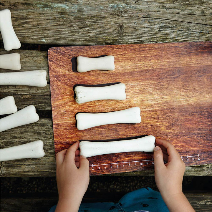 Dinosaur Bones Match and Measure Set - EASE