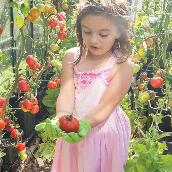 Gardening Gloves - Cotton Single Set - EASE