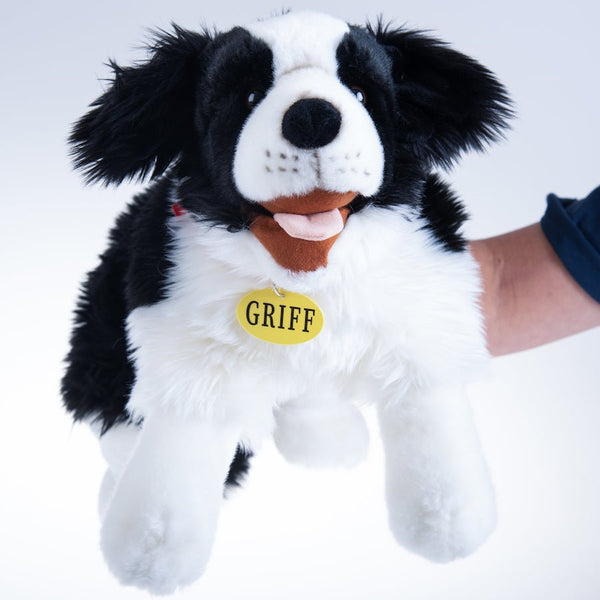 Griff the Wellbeing Dog - EASE