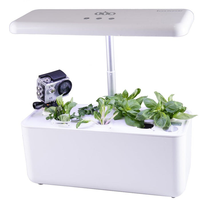 Hydroponic Smart Garden - EASE