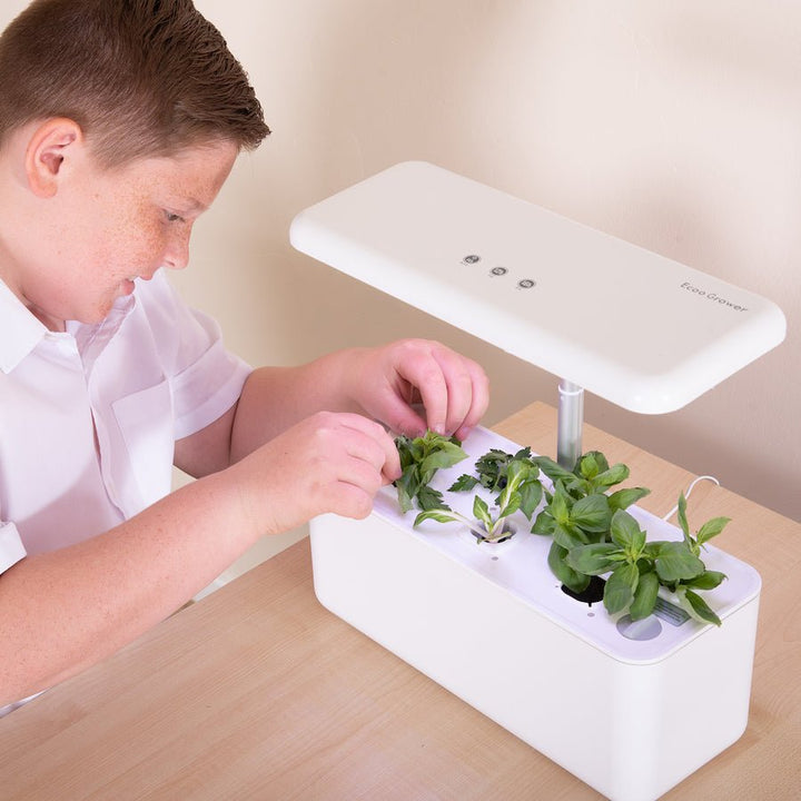 Hydroponic Smart Garden - EASE