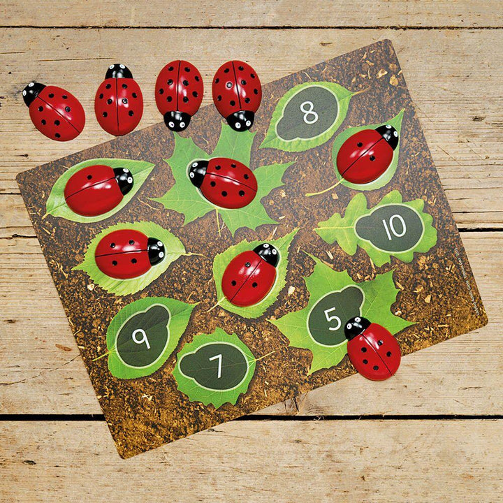 Ladybird Counters and Cards Multibuy - EASE