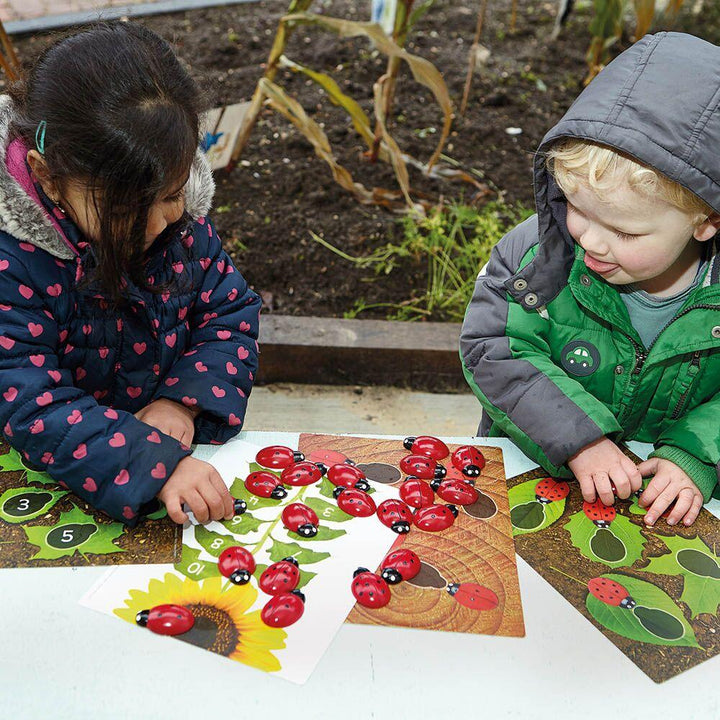 Ladybird Counters and Cards Multibuy - EASE