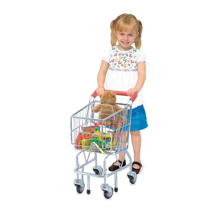 Metal Shopping Trolley - EASE