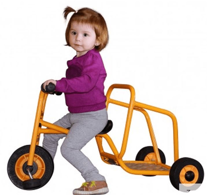 Rabo Mini Chariot - EASE