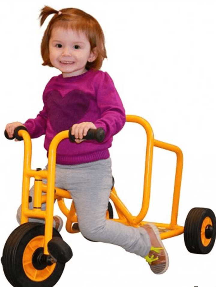 Rabo Mini Chariot - EASE