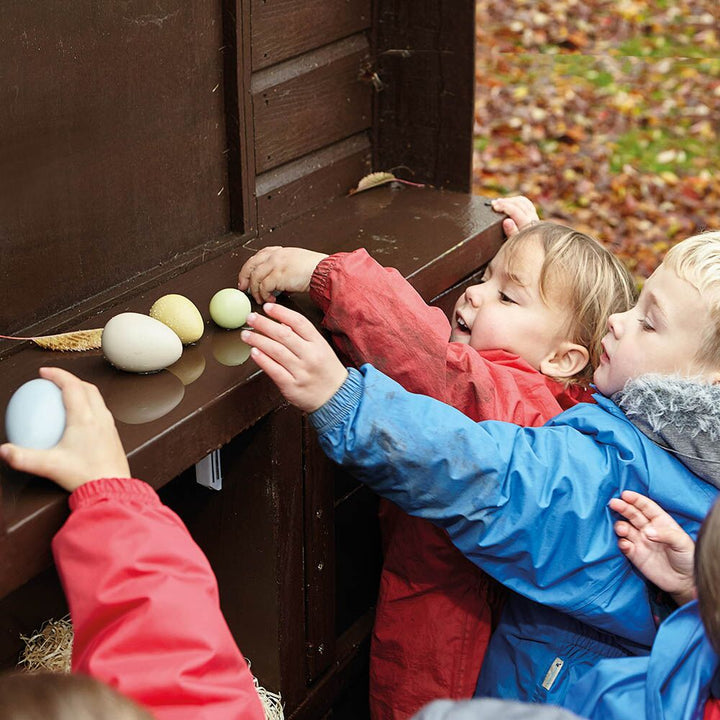 Size Sorting Eggs - EASE