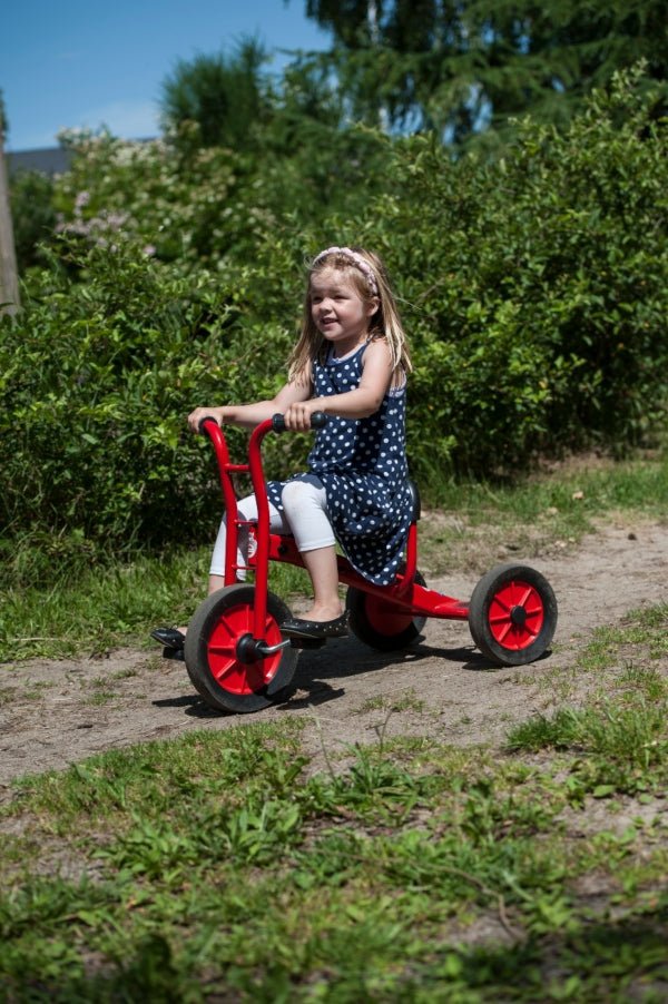 Tricycle, Small - EASE