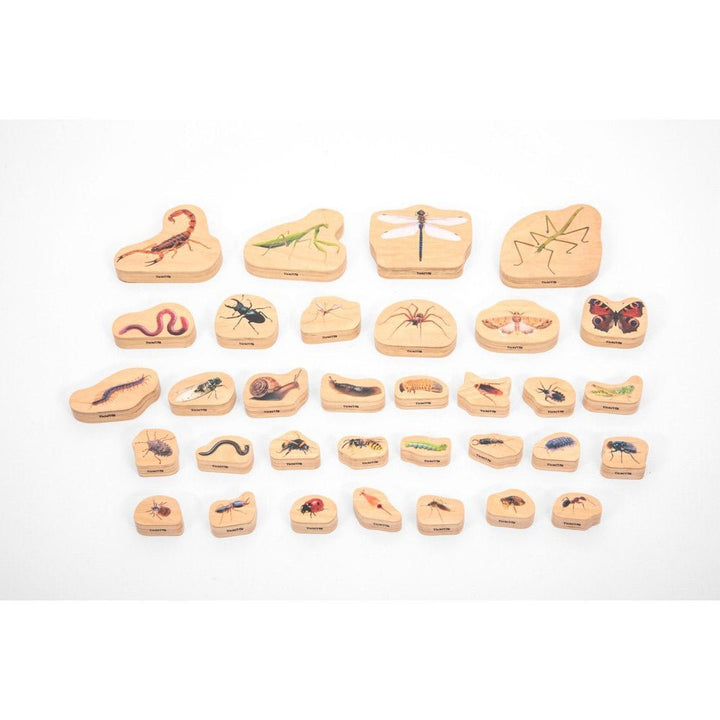 Wooden Minibeast Blocks - 33pk - EASE