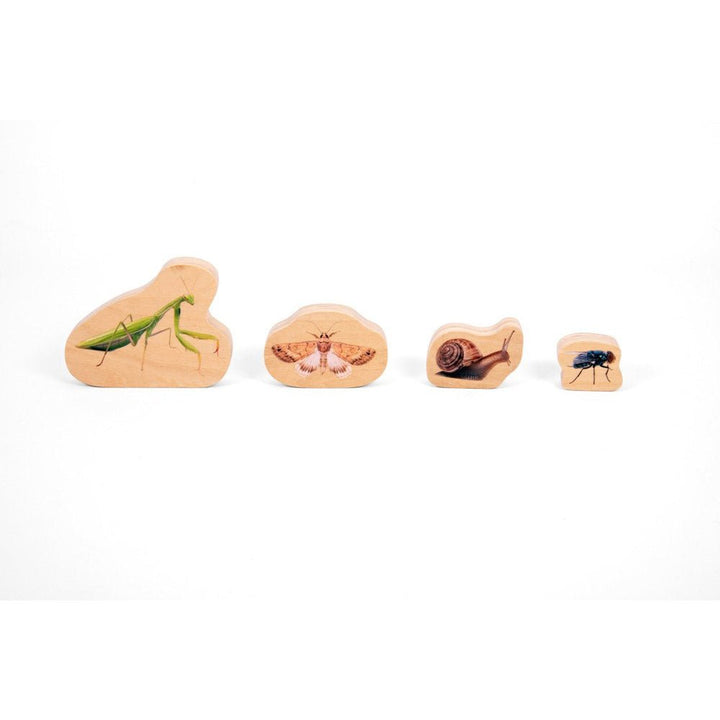 Wooden Minibeast Blocks - 33pk - EASE